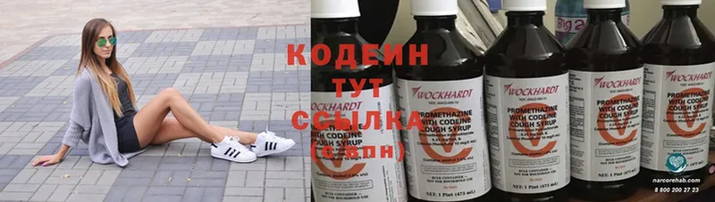 мега зеркало  Черкесск  Кодеиновый сироп Lean Purple Drank  продажа наркотиков 